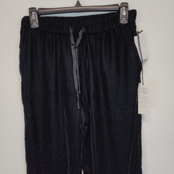 Treasure & Bond Black Velvet Pants Size XXS Elastic Waist Pull On Stretch Luxe - Picture 3 of 10